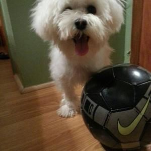 Meet your Posher, Alberto